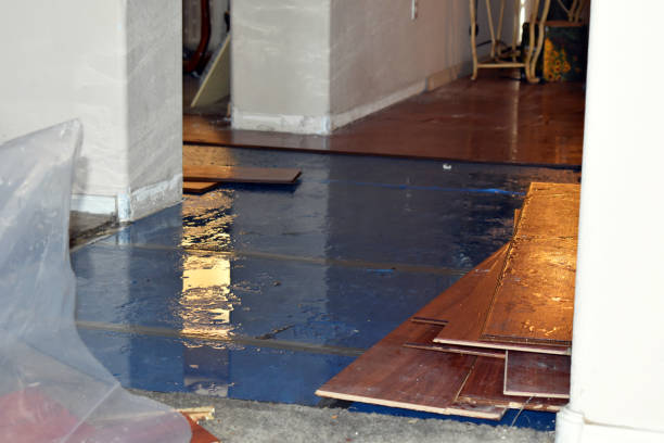 Professional Basement Water Removal technician working in Warsaw, IN