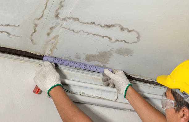 Reliable Basement Water Removal contractor in Warsaw, IN by Water Damage Irwin
